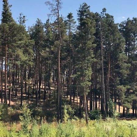 Borov Park 2 Apartmán Velingrad